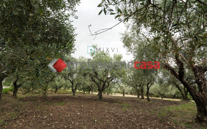 FABBRICATO GREZZO AD USO DEPOSITO