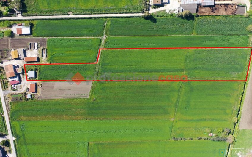 REALIZZA IL TUO SOGNO AGRICOLO: TERRENO FERTILE IN VENDITA