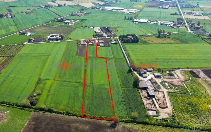 REALIZZA IL TUO SOGNO AGRICOLO: TERRENO FERTILE IN VENDITA