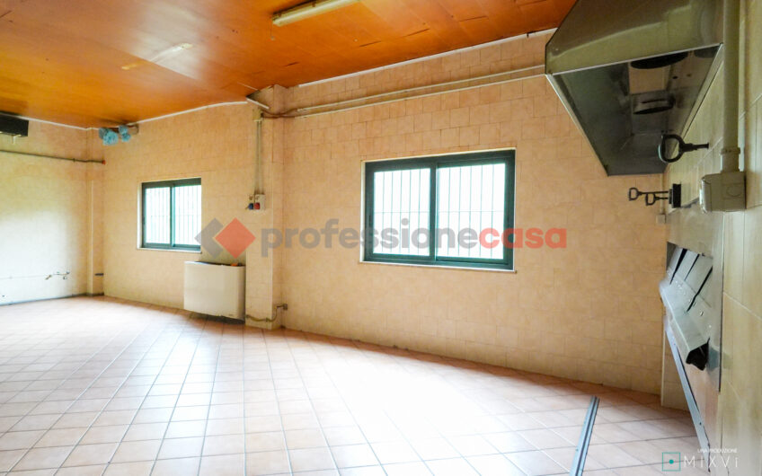 Ampio e completo locale artigianale con terreno