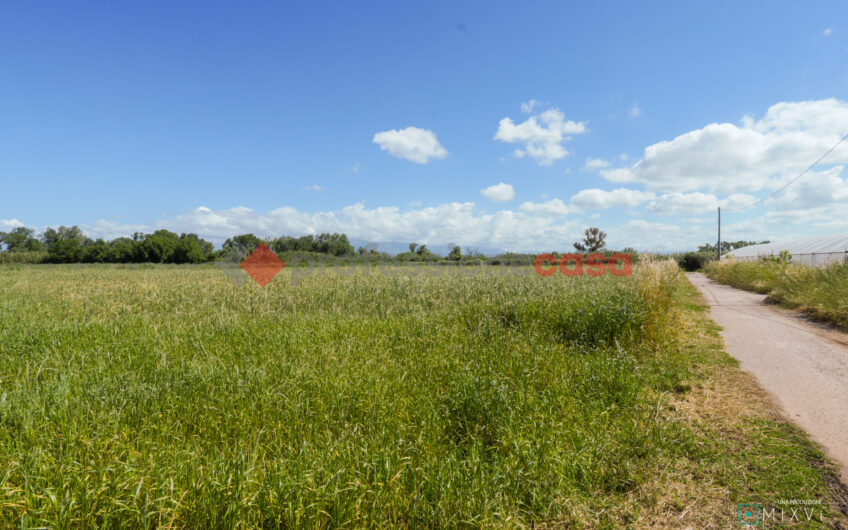 TERRA DI OPPORTUNITÀ: ESPANDI IL TUO BUSINESS AGRICOLO