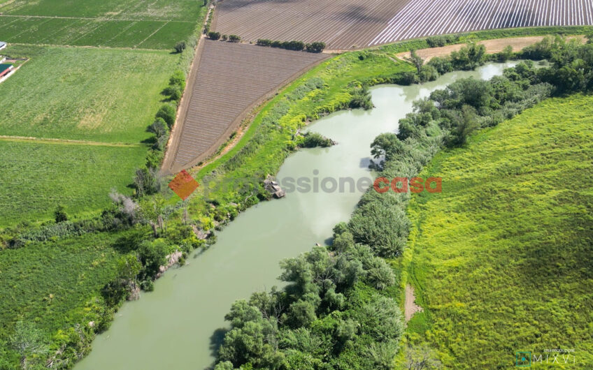 TERRA DI OPPORTUNITÀ: ESPANDI IL TUO BUSINESS AGRICOLO