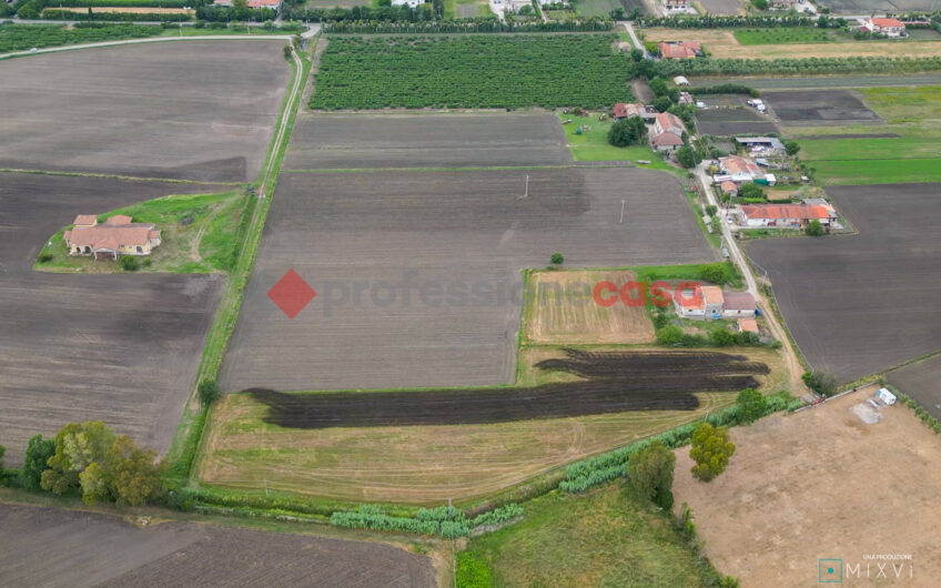 POSSIEDI IL FUTURO: UN TERRENO AGRICOLO PER IMPRENDITORI