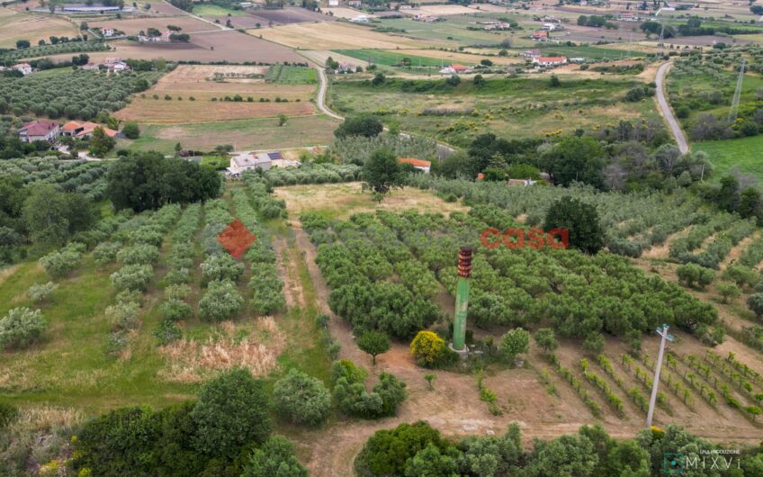 PROFITTI ILLIMITATI A UN PASSO DAL CENTRO