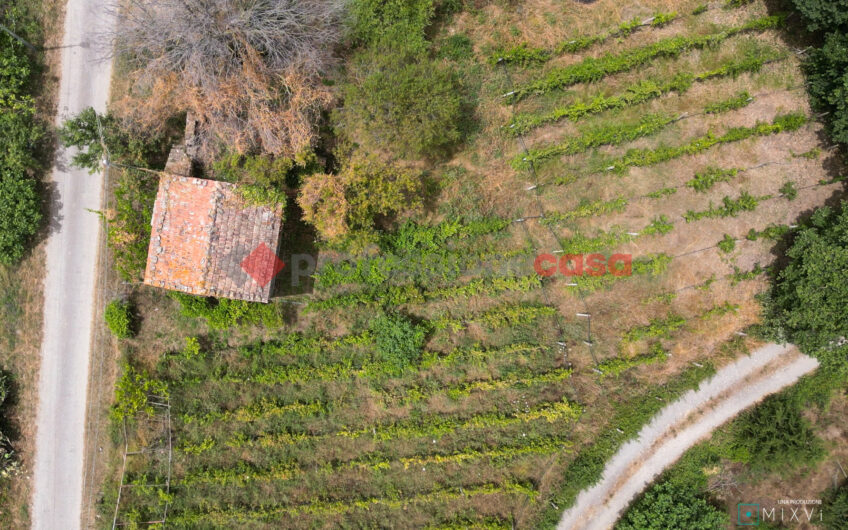 SCOPRI IL TESORO NASCOSTO: UN RUDERE STORICO