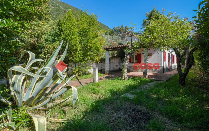 Il Tuo Angolo di Serenità: Casa Indipendente con Giardino