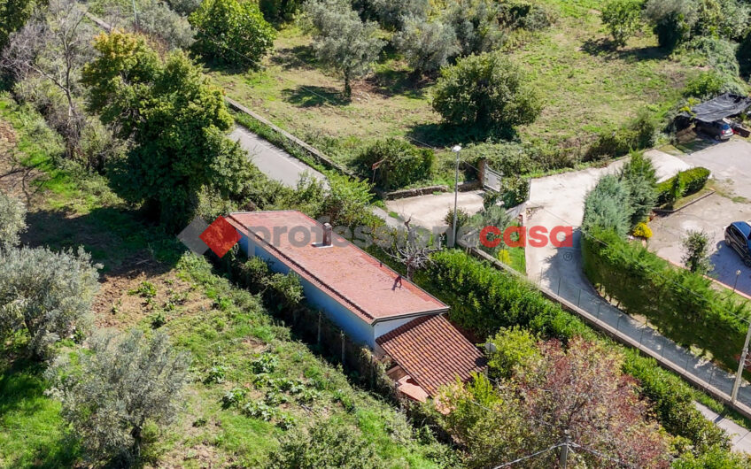 Il Tuo Angolo di Serenità: Casa Indipendente con Giardino