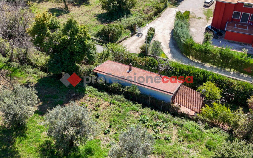 Il Tuo Angolo di Serenità: Casa Indipendente con Giardino