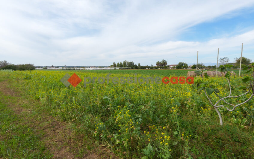 Un’Opportunità Unica per Imprenditori Agricoli