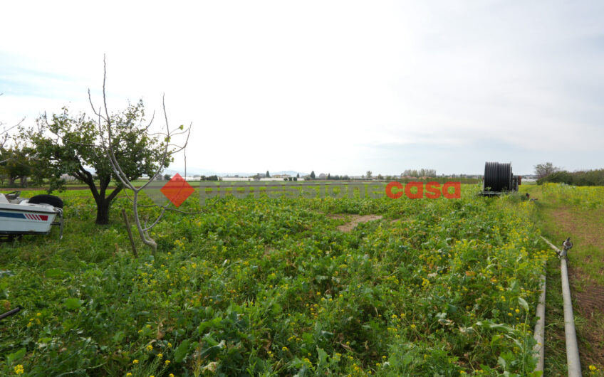 Un’Opportunità Unica per Imprenditori Agricoli