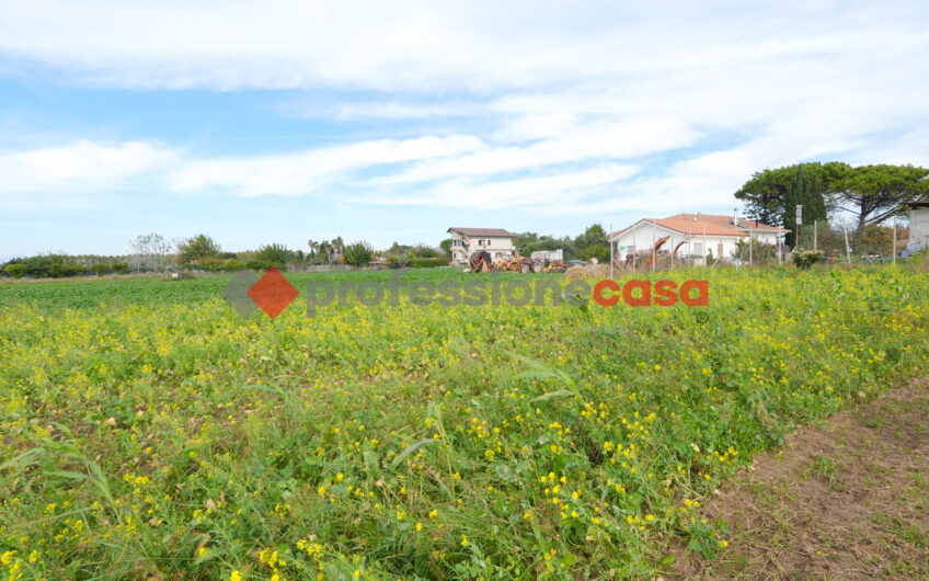 Un’Opportunità Unica per Imprenditori Agricoli