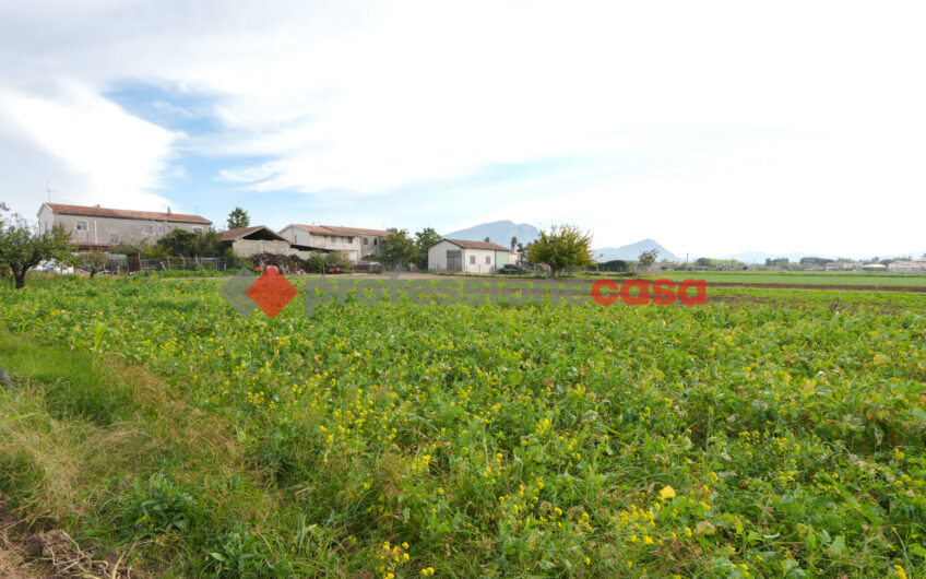 Un’Opportunità Unica per Imprenditori Agricoli