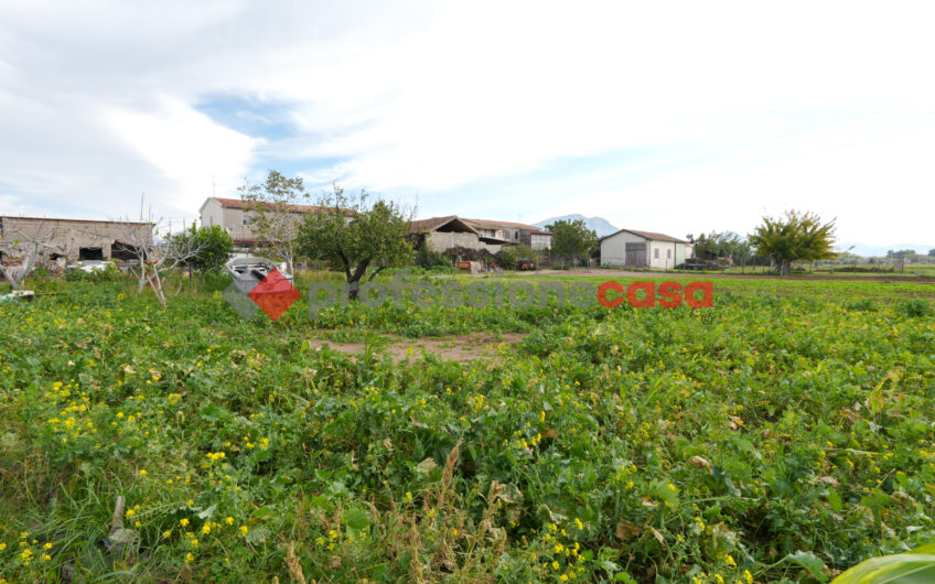 Un’Opportunità Unica per Imprenditori Agricoli