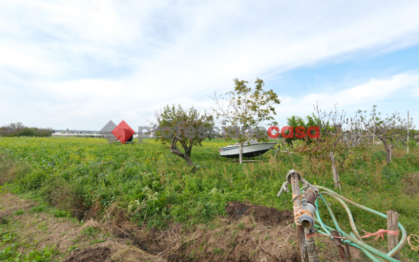 Un’Opportunità Unica per Imprenditori Agricoli