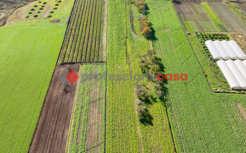 Un’Opportunità Unica per Imprenditori Agricoli