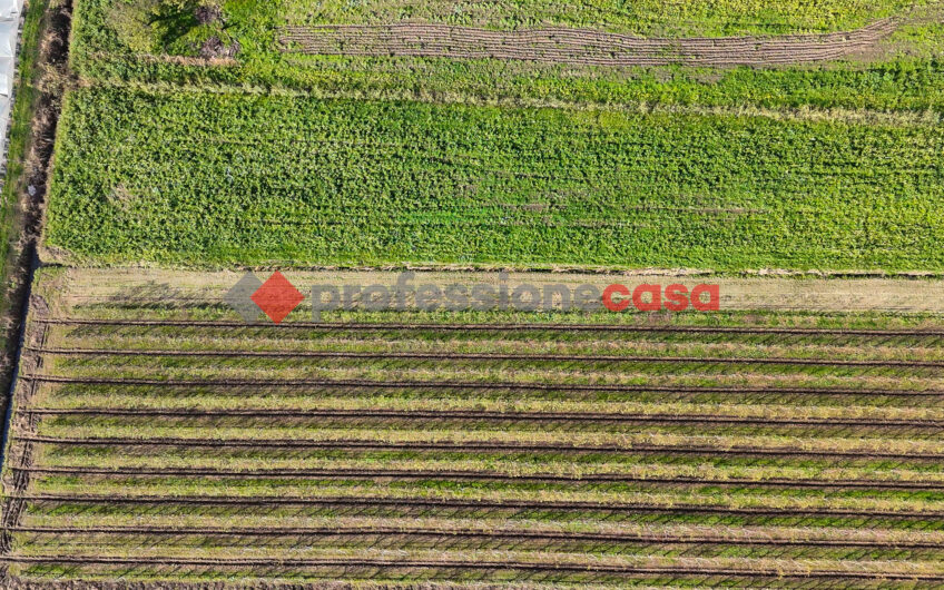 Un’Opportunità Unica per Imprenditori Agricoli