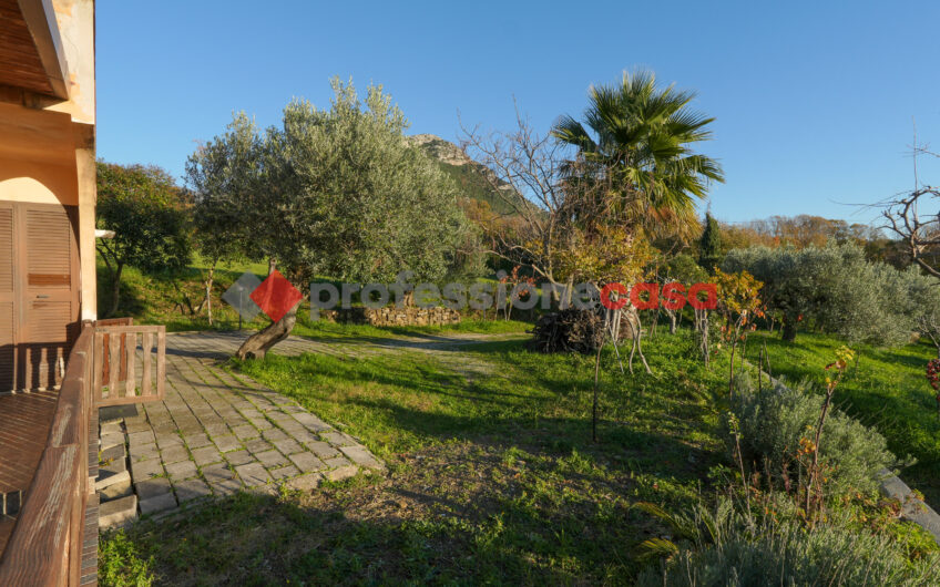 IL PALCOSCENICO DEL TRAMONTO