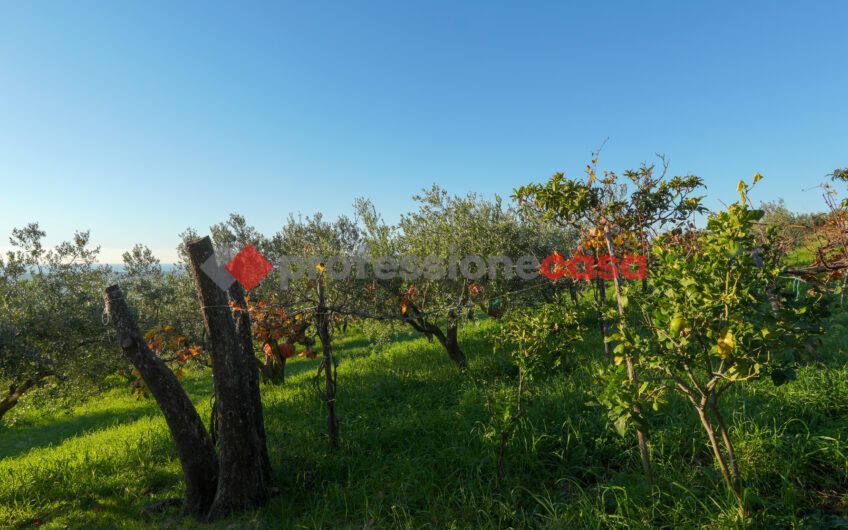 IL PALCOSCENICO DEL TRAMONTO