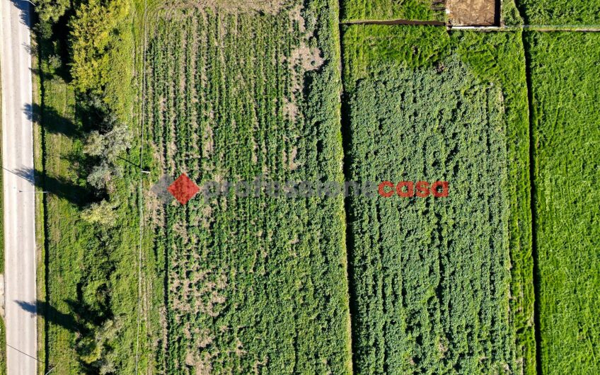 L’Opportunità a un Passo dal Centro – Rif.121224A
