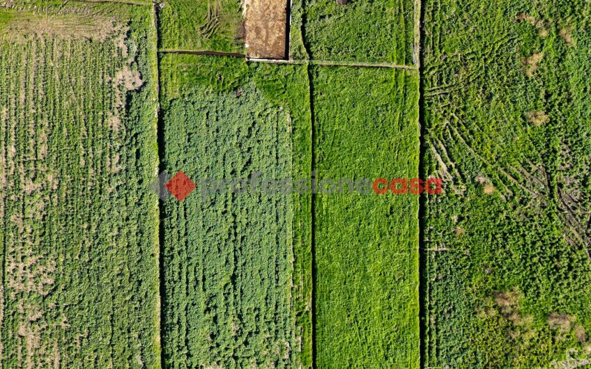 L’Opportunità a un Passo dal Centro – Rif.121224A
