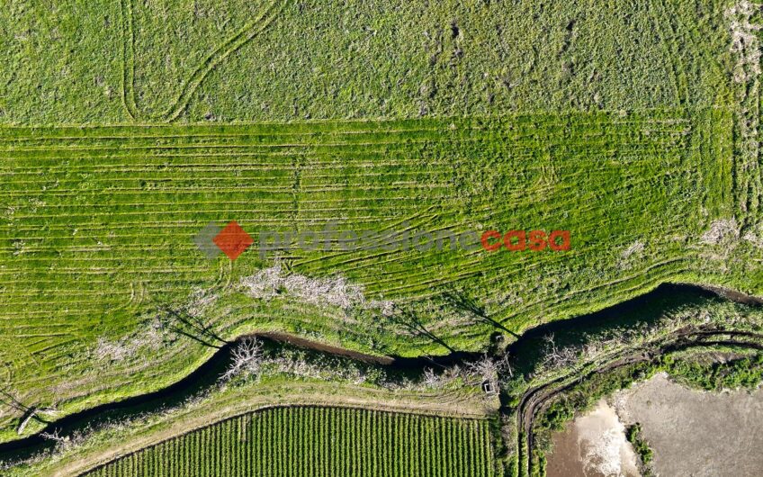 L’Opportunità a un Passo dal Centro – Rif.121224A