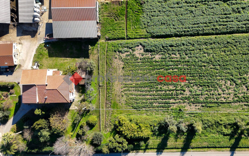 L’Opportunità a un Passo dal Centro – Rif.121224A
