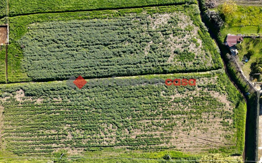 L’Opportunità a un Passo dal Centro – Rif.121224A