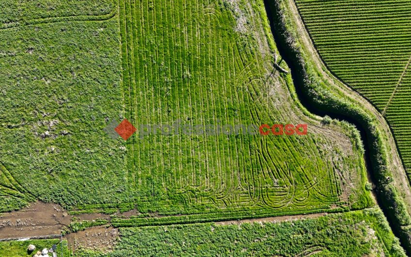 L’Opportunità a un Passo dal Centro – Rif.121224A