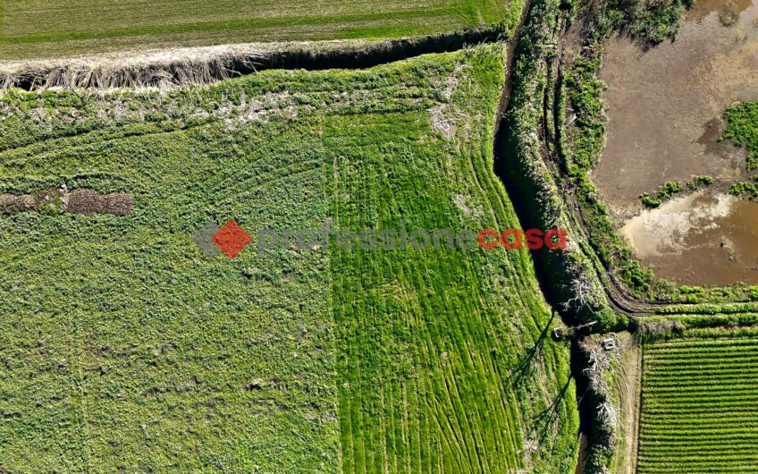 L’Opportunità a un Passo dal Centro – Rif.121224A