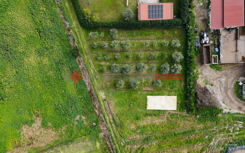 Appartamento In Villa Con Giardino Esclusivo