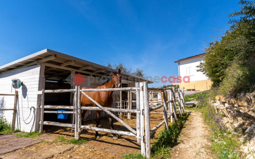 Green Luxury tra le Colline di Albanella-Rif. 100325