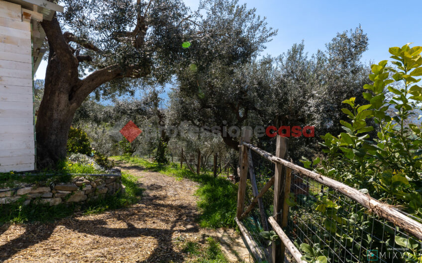Green Luxury tra le Colline di Albanella-Rif. 100325