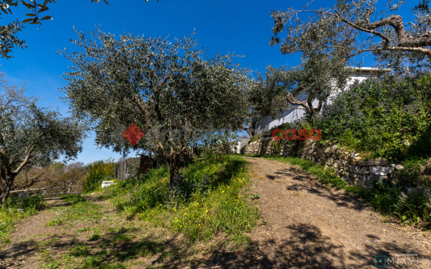 Green Luxury tra le Colline di Albanella-Rif. 100325