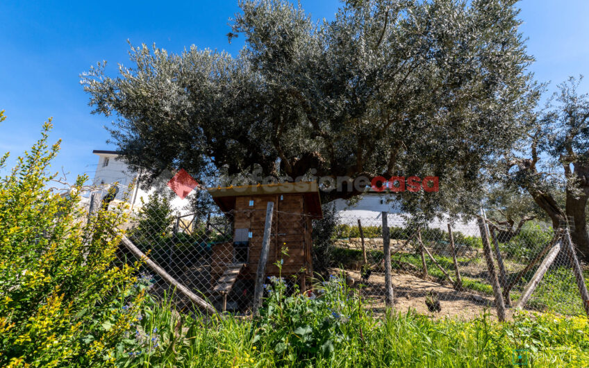 Green Luxury tra le Colline di Albanella-Rif. 100325