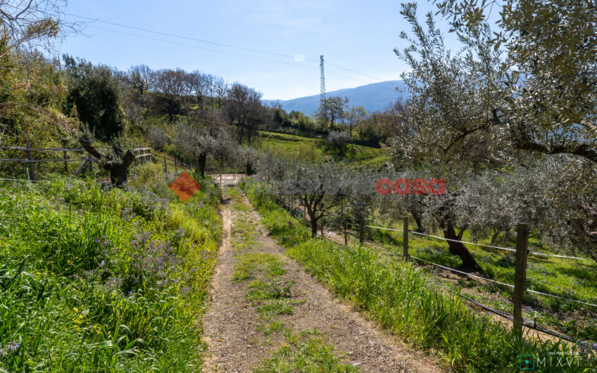 Green Luxury tra le Colline di Albanella-Rif. 100325