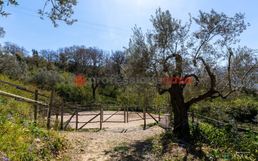 Green Luxury tra le Colline di Albanella-Rif. 100325