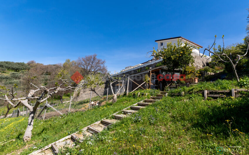 Green Luxury tra le Colline di Albanella-Rif. 100325