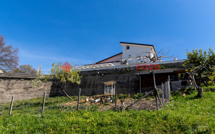 Green Luxury tra le Colline di Albanella-Rif. 100325