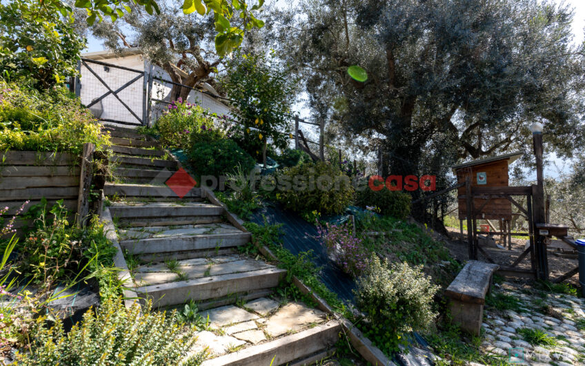 Green Luxury tra le Colline di Albanella-Rif. 100325