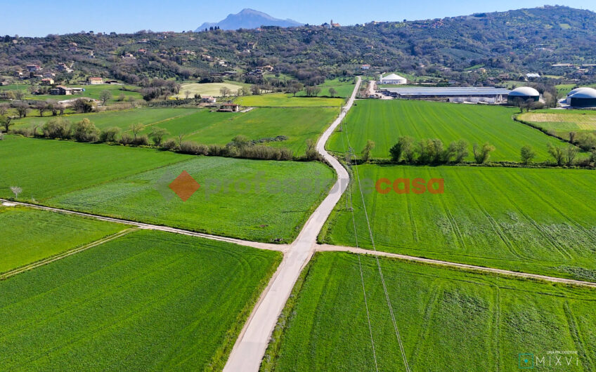 Green Luxury tra le Colline di Albanella-Rif. 100325