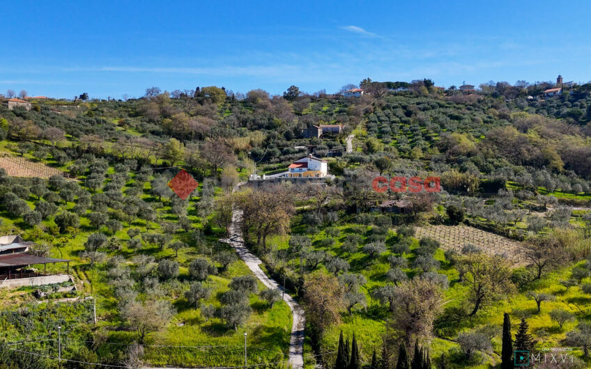 Green Luxury tra le Colline di Albanella-Rif. 100325