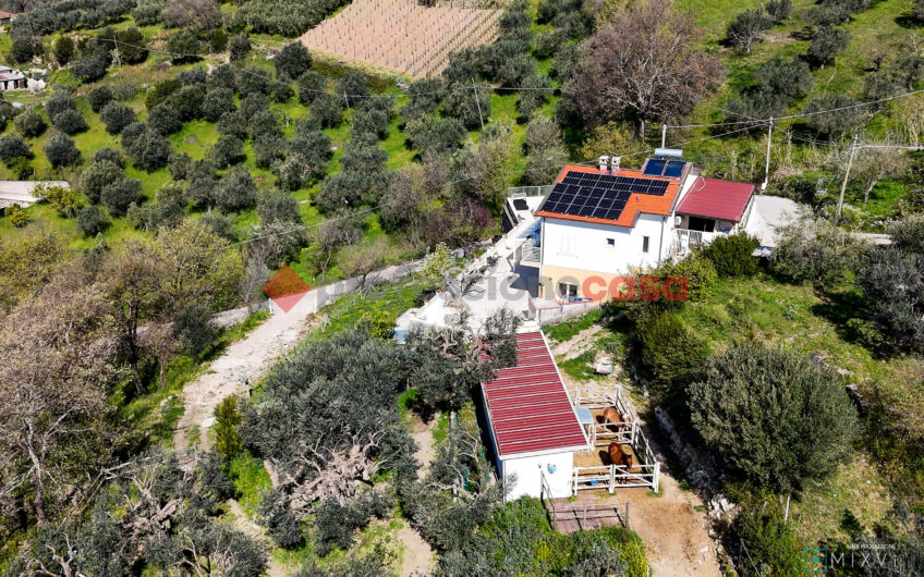 Green Luxury tra le Colline di Albanella-Rif. 100325