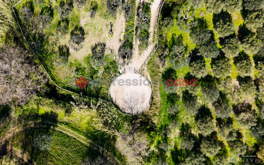 Green Luxury tra le Colline di Albanella-Rif. 100325
