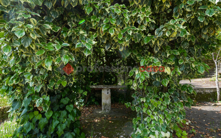 La Casa che Racconta una Storia- Rif.050525
