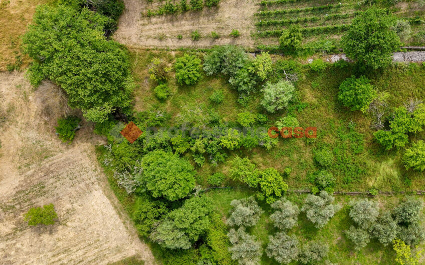 La Casa Perfetta Per Ospitare I Tuoi Sogni-Rif.120525