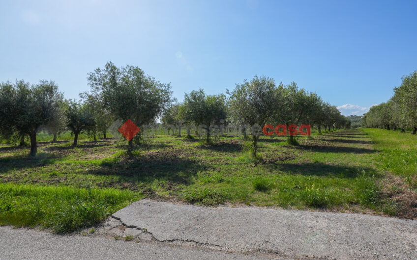 Due Gioielli Della Terra Cilentana-Rif.060525