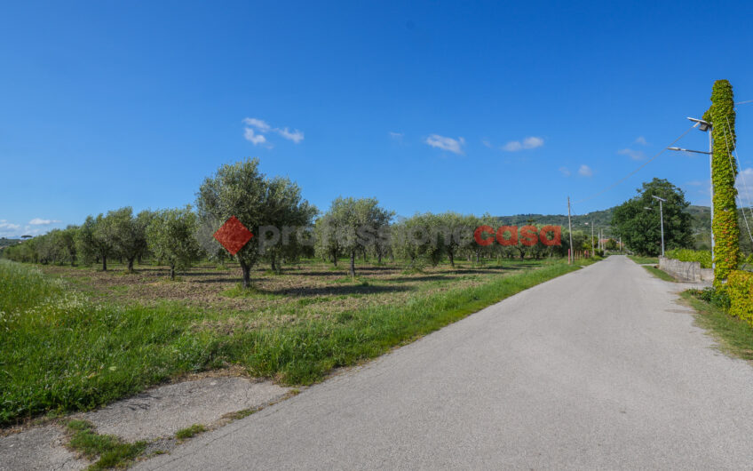 Due Gioielli Della Terra Cilentana-Rif.060525