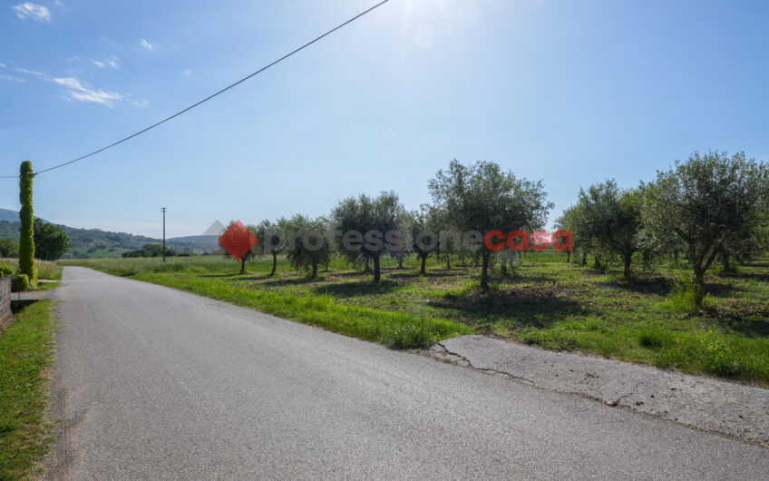 Due Gioielli Della Terra Cilentana-Rif.060525