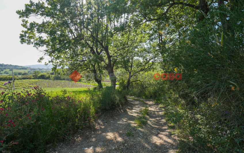 Due Gioielli Della Terra Cilentana-Rif.060525