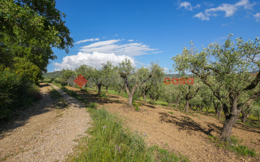 Due Gioielli Della Terra Cilentana-Rif.060525